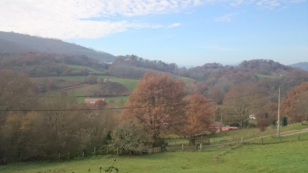 Apartamento Rural Oizalde Elizondo Bagian luar foto